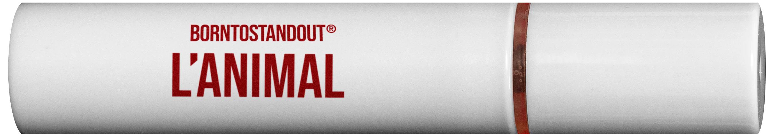 Thumbnail 19